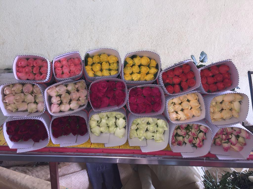 Snehitha Blooms flower shop display