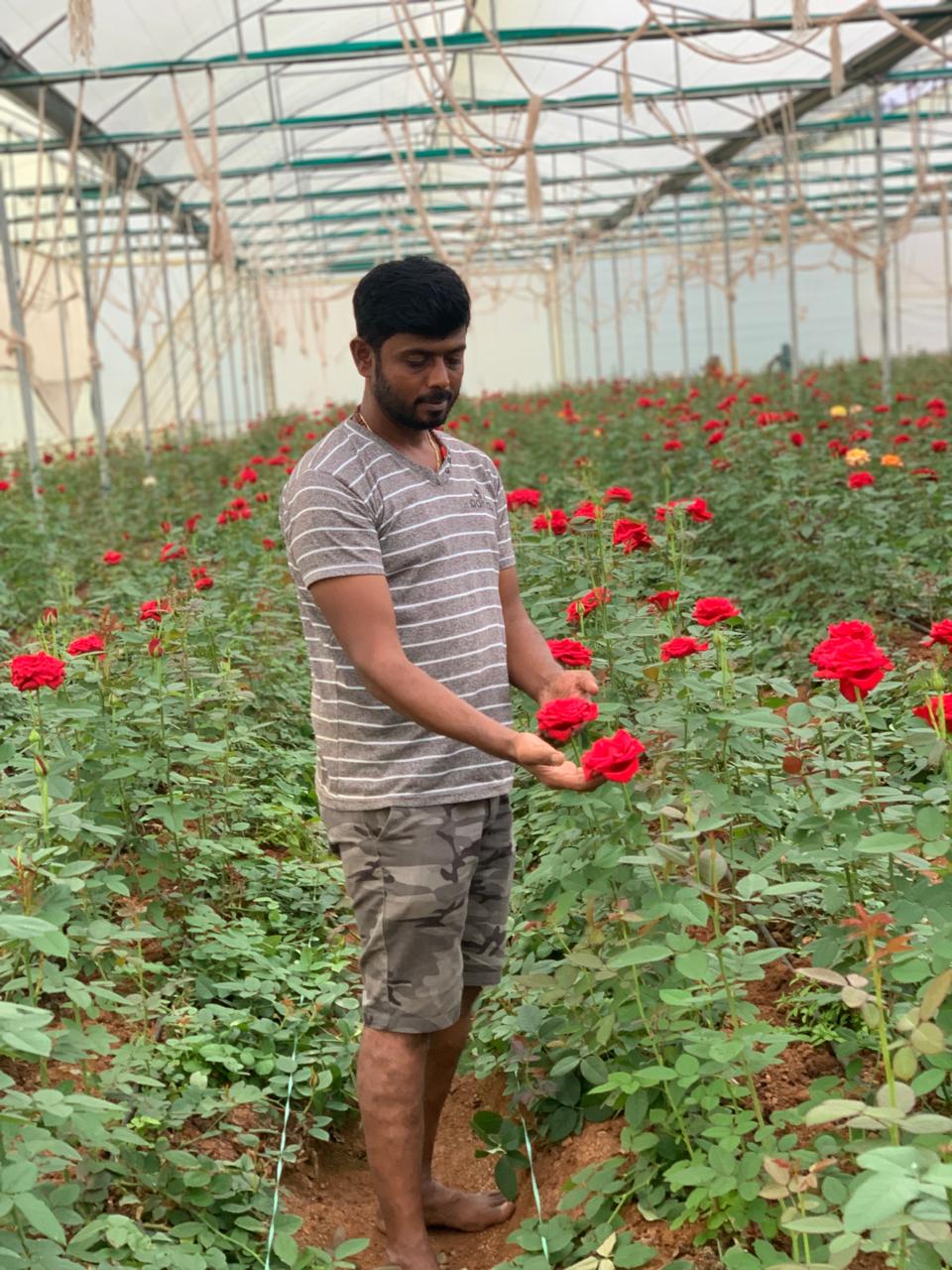 Farm image