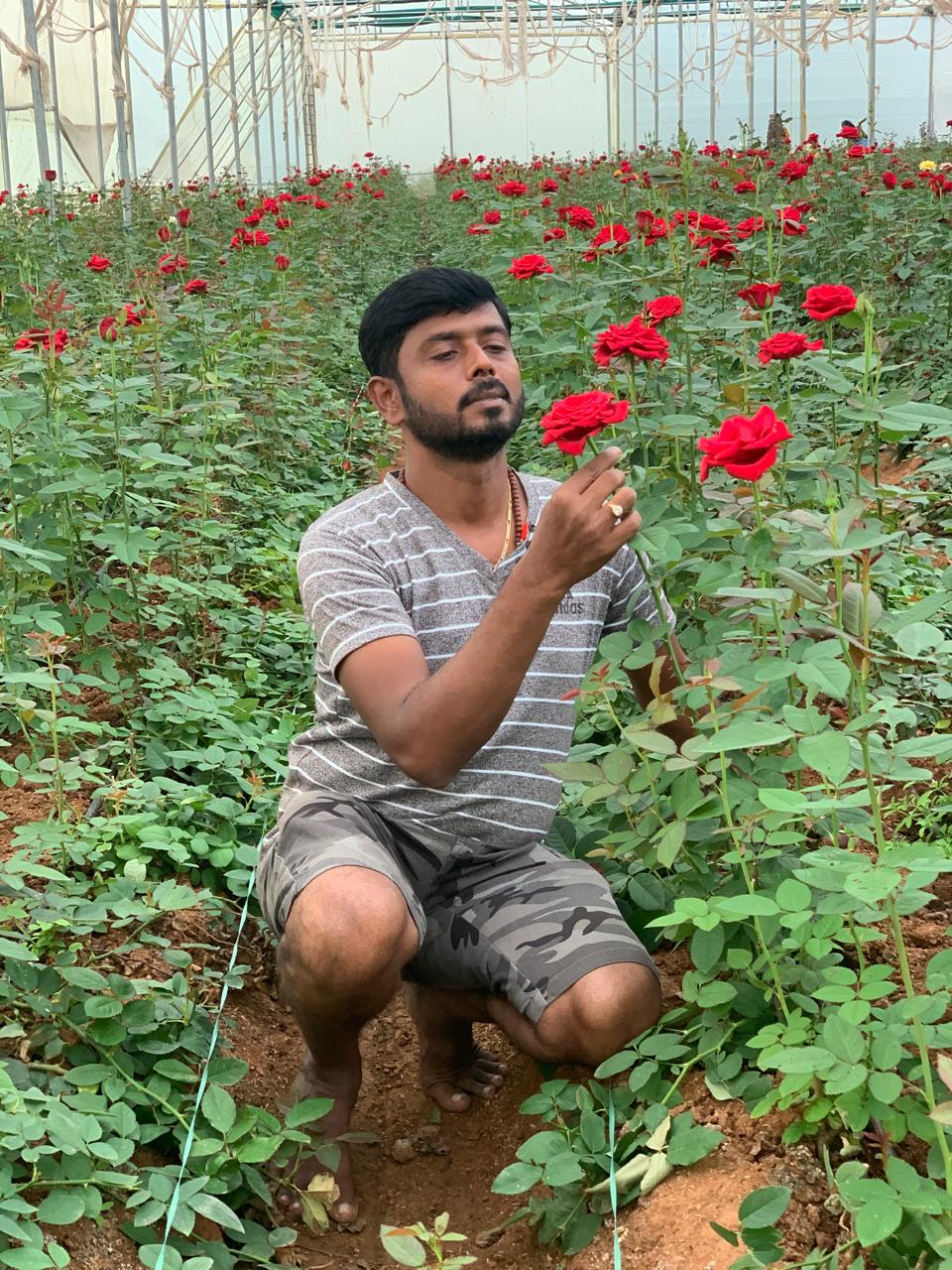 Farm image